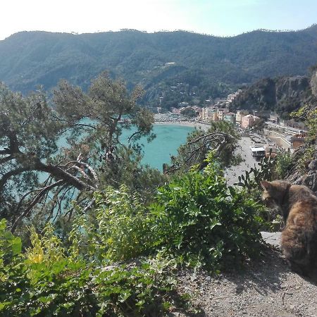 Il Sogno Apartments Monterosso al Mare Exterior foto